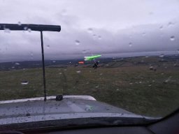 marcus devecchi - hollowback-august 20 2021